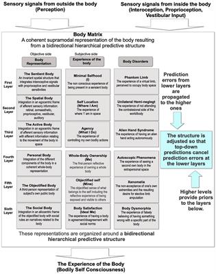 Regenerative Virtual Therapy: The Use of Multisensory Technologies and Mindful Attention for Updating the Altered Representations of the Bodily Self